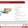 SafeCheck® Spanish – Advanced Food Safety – Includes Exam - Image 10