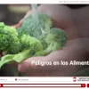 a hand holding a piece of broccoli
