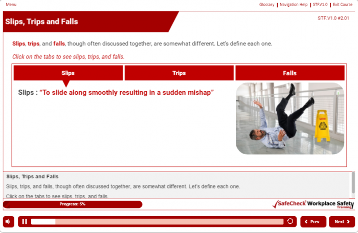 SafeCheck® Slip, Trip & Fall Prevention - Image 7