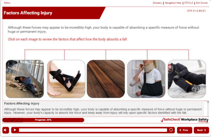 SafeCheck® Slip, Trip & Fall Prevention - Image 6
