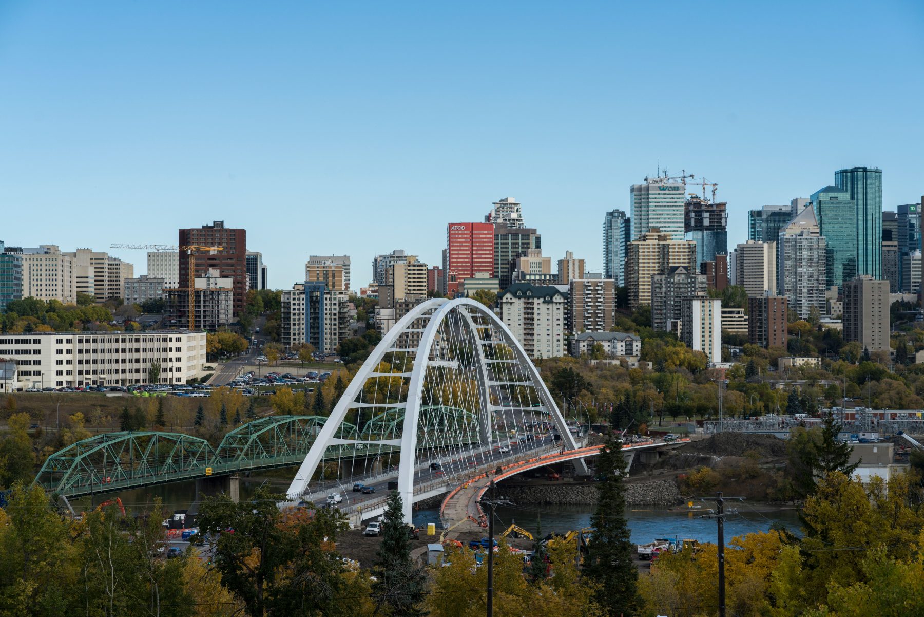 SafeCheck-A bird's eye view of trees with a background of the Edmonton cityscape